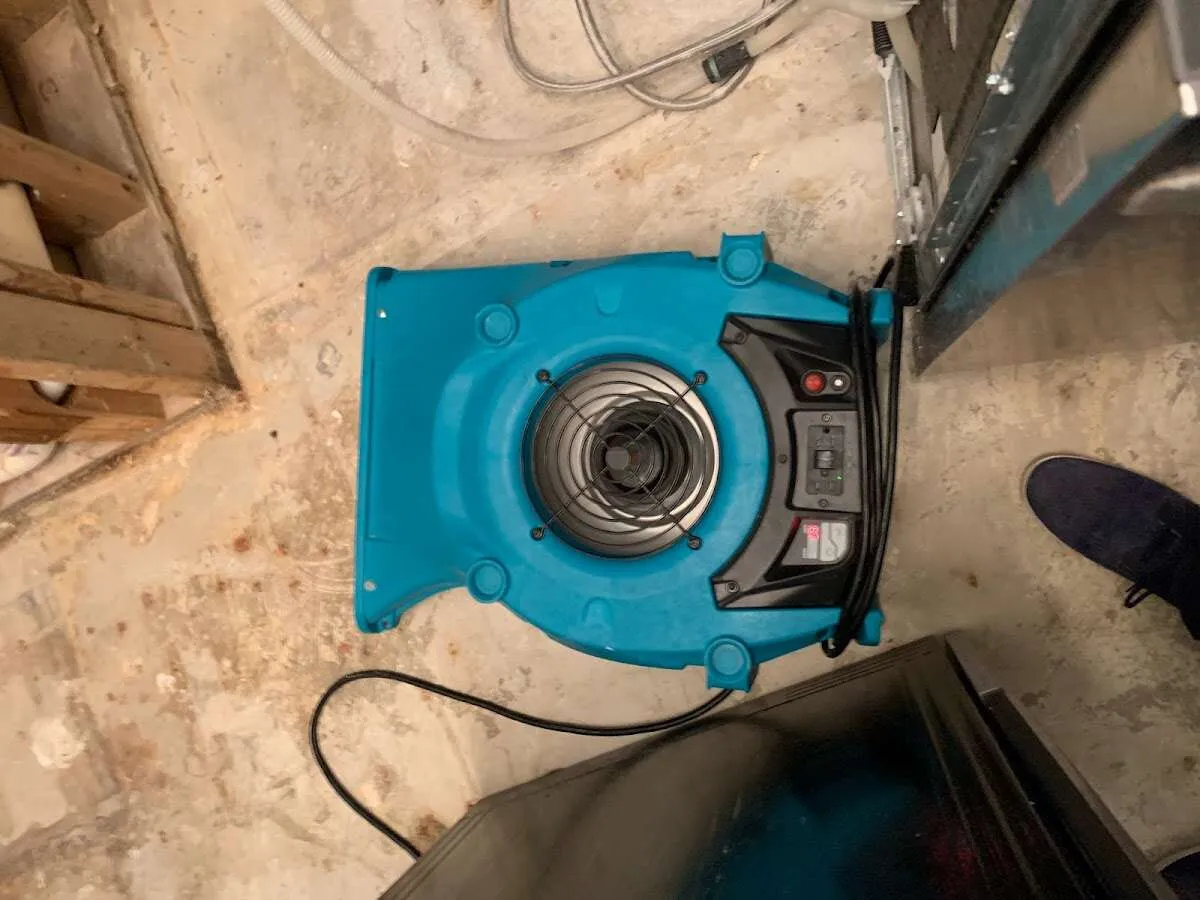 Air mover drying equipment for Mold Remediation & Removal in Lake Jackson